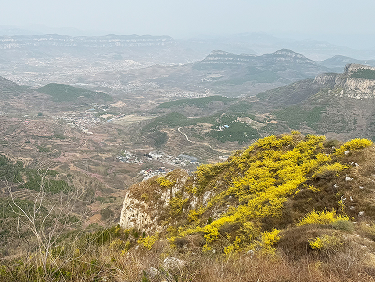 lianqiaohua.jpg